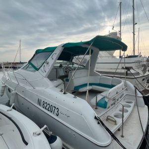 Barco de motor para la venta - Chris Craft Crowne 302